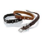 Collare hunter solid education special