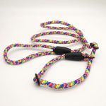 Guinzaglio Stark Retriever - immagine 9