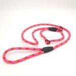 Guinzaglio Stark Retriever - immagine 5