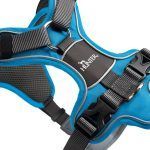 Pettorina hunter divo