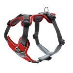 Pettorina hunter divo - immagine 4