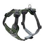 Pettorina hunter divo - immagine 3