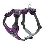 Pettorina hunter divo - immagine 2