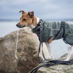 Comfy knit jacket - immagine 6