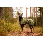 giacca cane sportivo