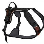 Pettorina Rock Harness