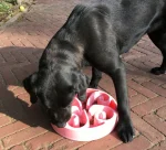 Ciotola Eat Slow Flower - immagine 2