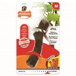 Nylabone Extreme Wooden Stick