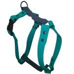 Pettorina Impermeabile Verde acqua / Kerosene