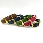 Collare Habitudo Mini Fibbia Gold