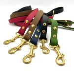 Guinzaglio Habitudo Gold