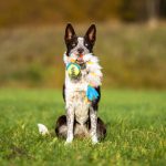 Treccia in Pelo di Pecora con Pallina Kong