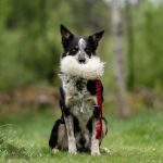 Tug Bungee Porta Snack in Pelo di Pecora