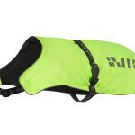 Mantella Visibilità