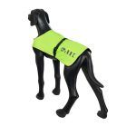 Mantella Visibilità - immagine 3