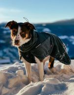 Wool Dog Jacket Non Stop Dogwear - immagine 3