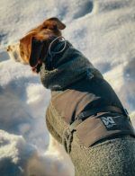 Wool Dog Jacket Non Stop Dogwear - immagine 2