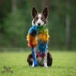 Tug Bungee Lungo in Pelo Sintetico