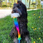 Tug Bungee in Pile e Pelo di Pecora con Squeek - immagine 2