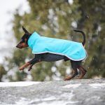 Giacca Softshell Sportti Pomppa - immagine 3