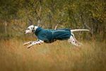 Fjord Lined Raincoat Non Stop Dogwear - immagine 6