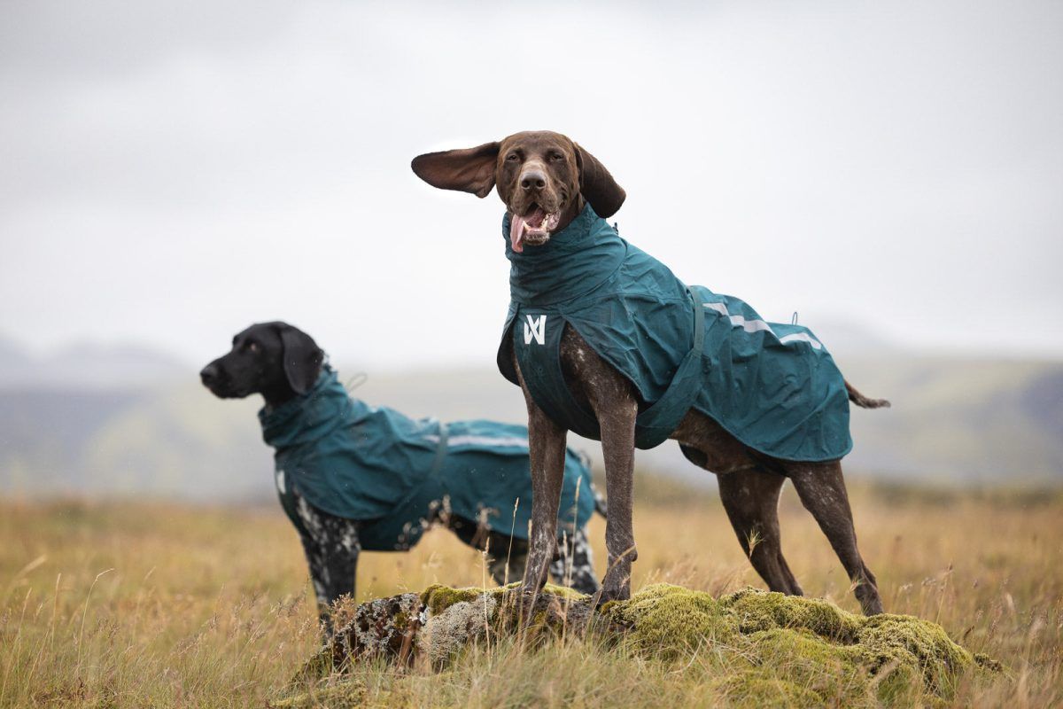 Fjord Lined Raincoat Non Stop Dogwear - immagine 4
