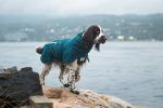 Fjord Lined Raincoat Non Stop Dogwear - immagine 5