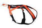 Rush Harness Non Stop Dogwear - immagine 2