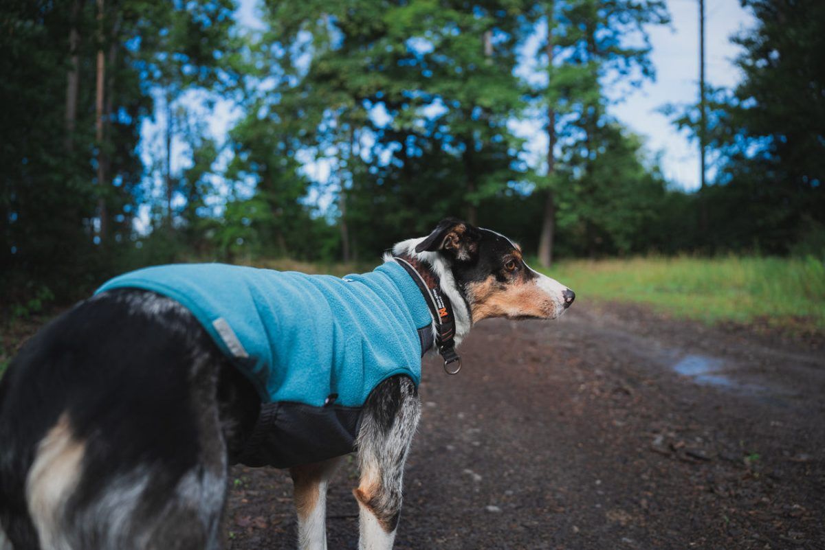 Trail Quest Fleece Pullover Non Stop Dogwear - immagine 5