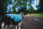 Trail Quest Fleece Pullover Non Stop Dogwear - immagine 5