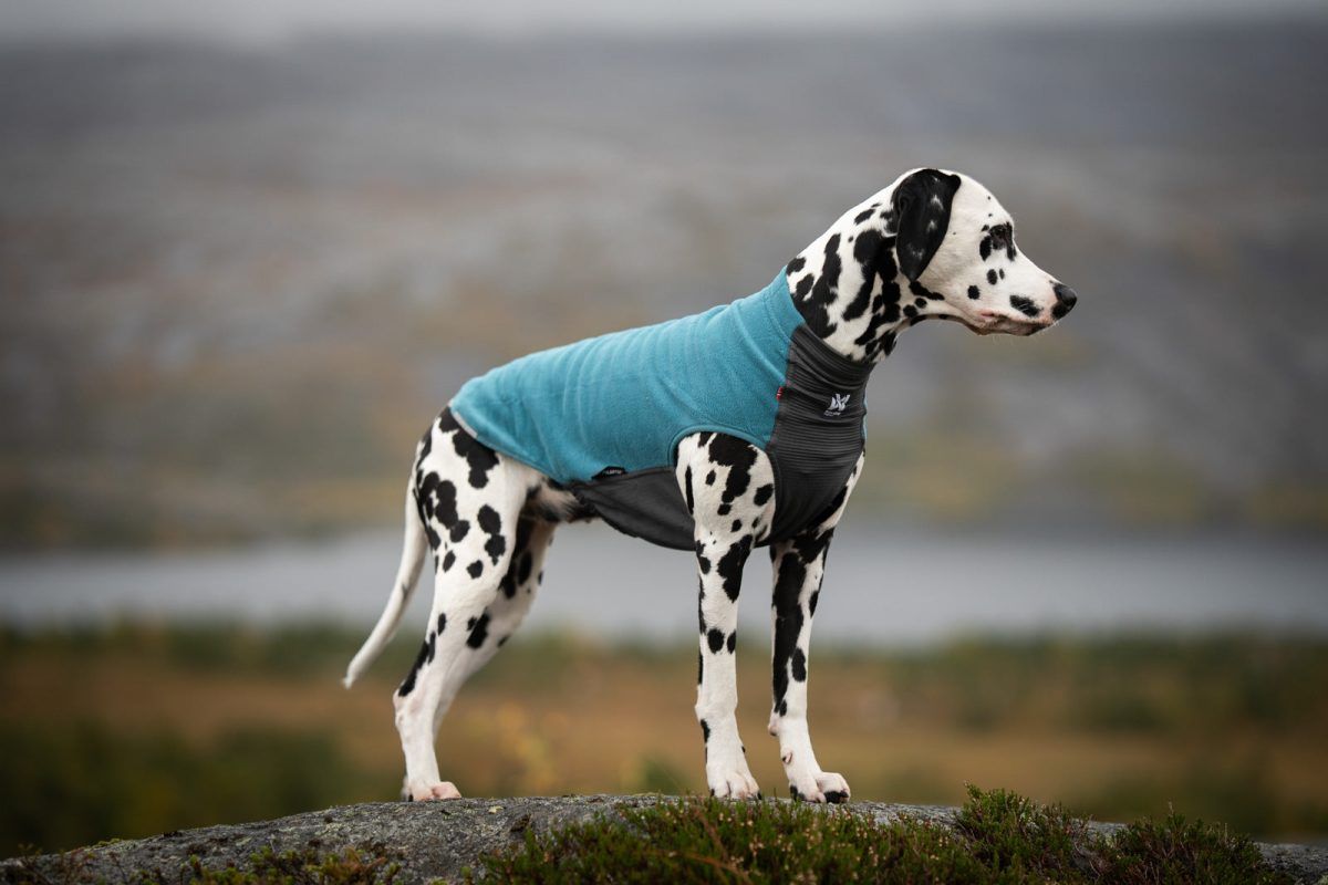 Trail Quest Fleece Pullover Non Stop Dogwear - immagine 2