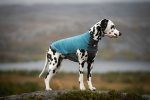 Trail Quest Fleece Pullover Non Stop Dogwear - immagine 2